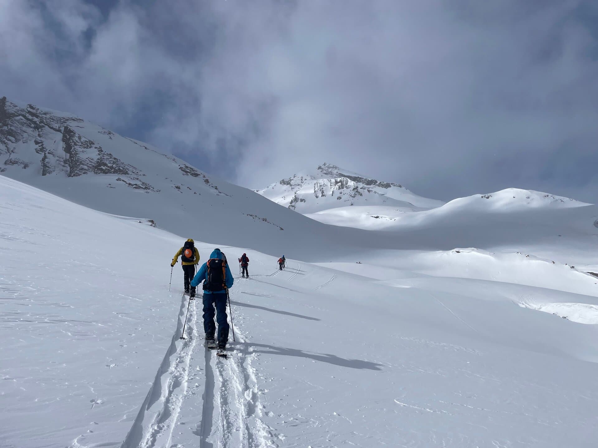 Les chiffres du splitboard 2026 : prix, poids, marques