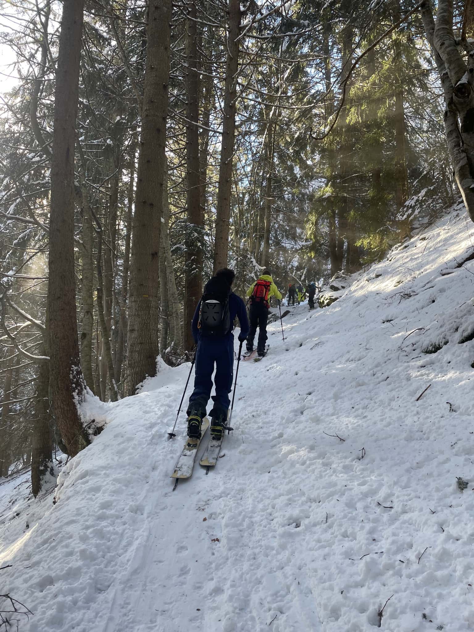 Trace en forêt : exemple de terrain où la micro-topographie et le regel comptent